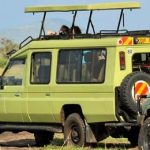 Rwanda Car Rental: Electric Car rental for Eco-Trekking in Rwanda